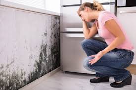 Best Emergency Mold Remediation  in Arma, KS